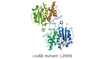 糖鎖構造の解析イメージ